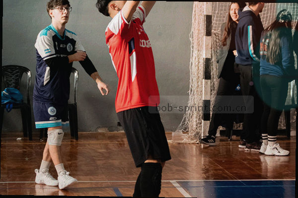 数据面板操作示意：左右滑动即可翻动近10个赛季历史数据